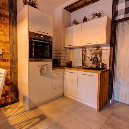 Apartamenty U Rybki Krynica - Zdroj Buitenkant foto